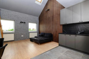 luxury duplex apartment in the city center.